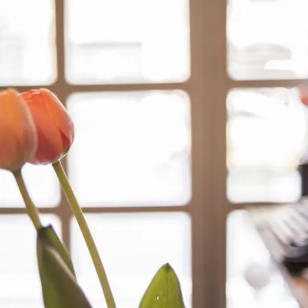 瑞皮塔客房旅馆 招待所 4*