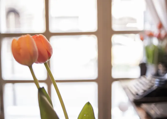 瑞皮塔客房旅馆 招待所 4*