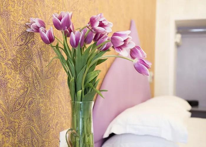 招待所 瑞皮塔客房旅馆 4*